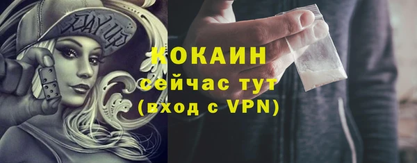 сатива Беломорск