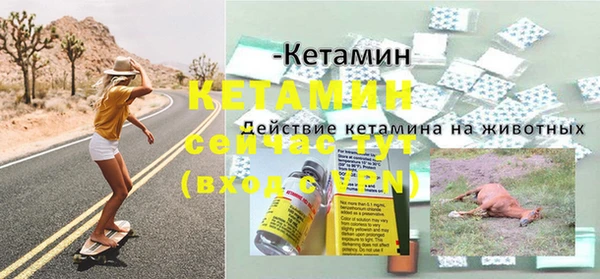 мяу мяу мука Белокуриха