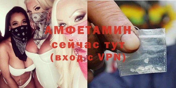 сатива Беломорск