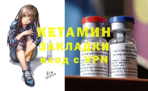 сатива Беломорск