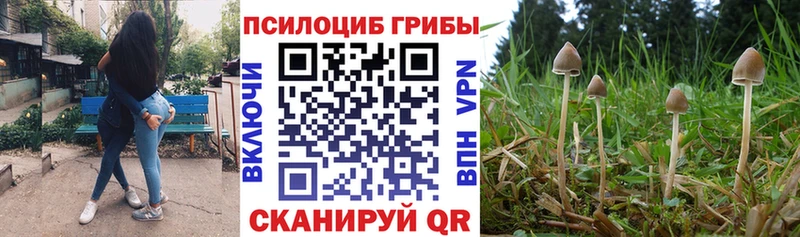 Псилоцибиновые грибы Cubensis  Обь 